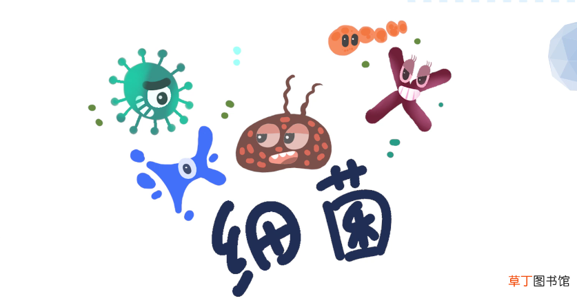 木耳泡好了隔夜能吃吗