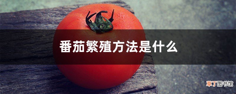 番茄繁殖方法是什么，是用什么繁殖的