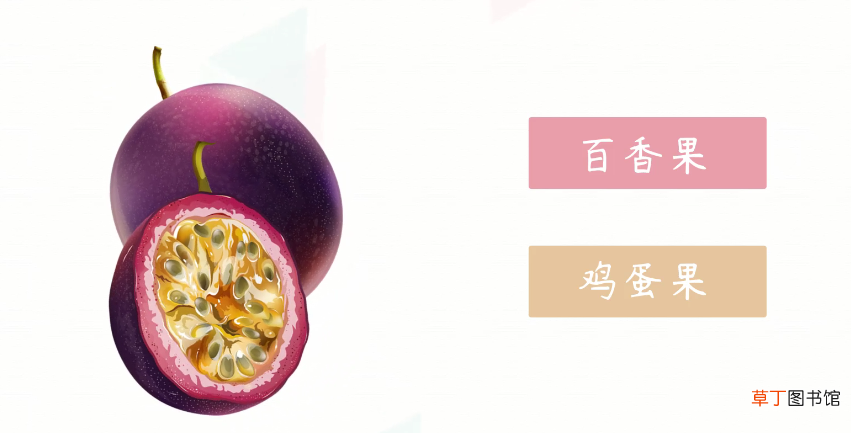 百香果是什么