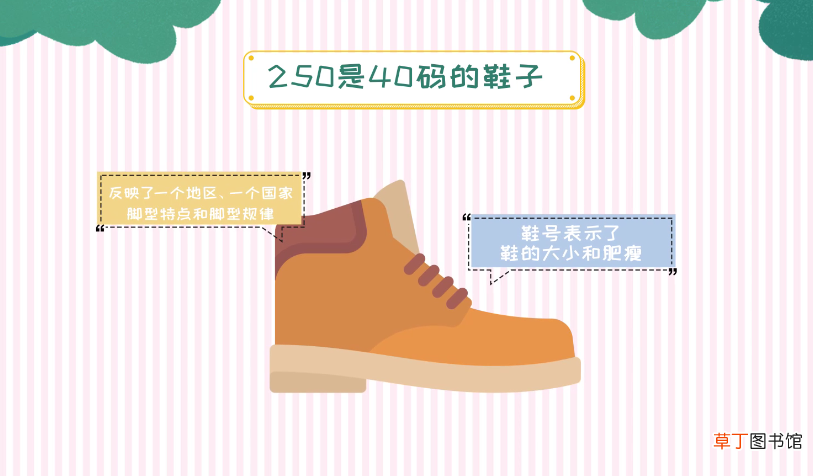 250是多少码的鞋子