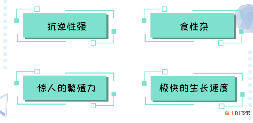 福寿螺和田螺的区别