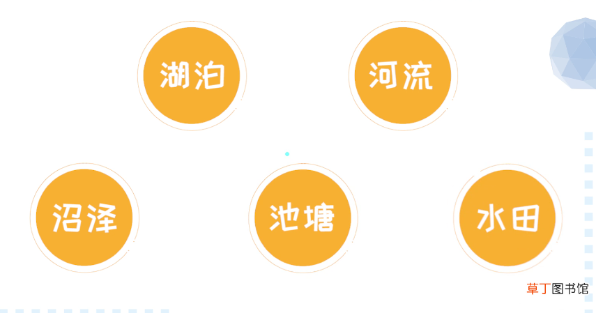 福寿螺和田螺的区别