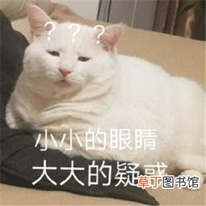 2017cad框选怎么设置 2017cad