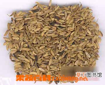 小茴香的副作用