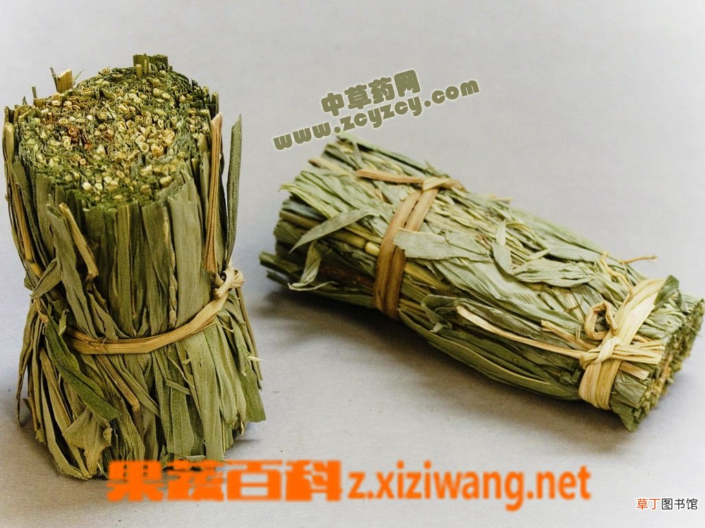 淡竹叶的功效