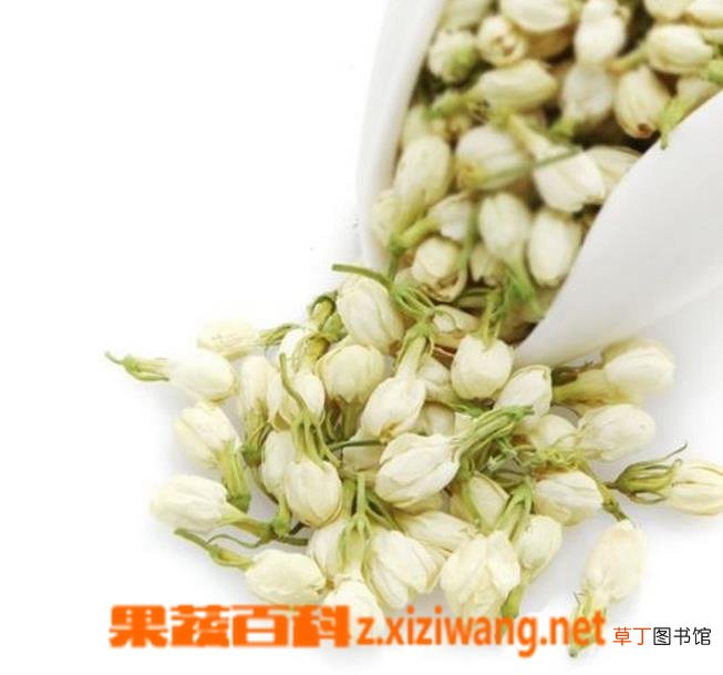 茉莉花的功效及食用方法