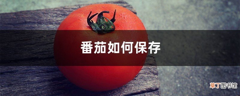 番茄如何保存，新鲜番茄如何保存