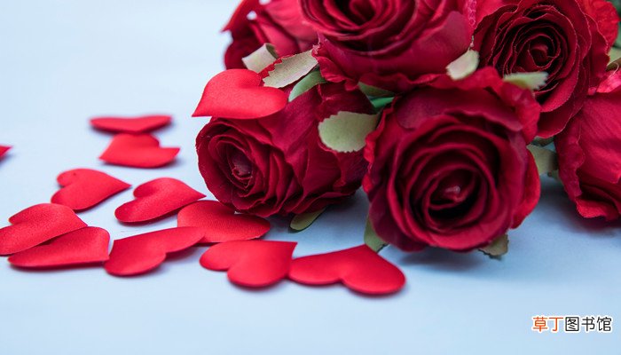 黑玫瑰的花语是什么
