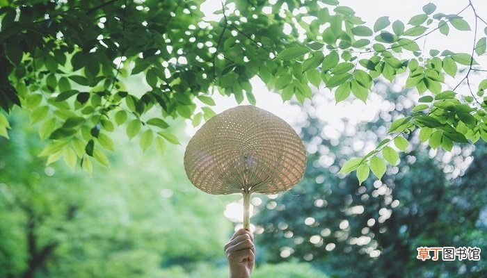 初暑从哪一天开始