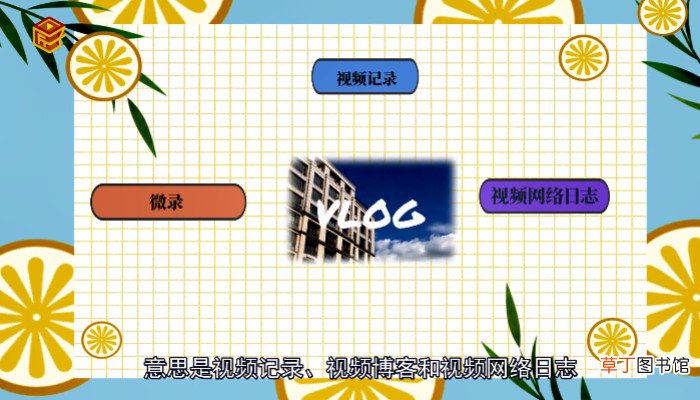 vlog是什么意思