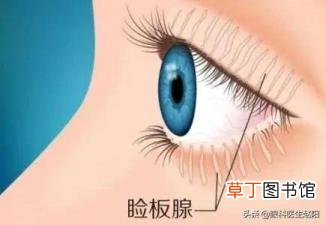 做完opt嫩肤后的注意事项 opt多久做一次