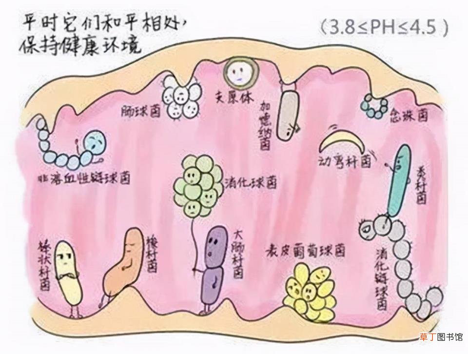 慢性阴炎可否自愈 阴道炎用药多久