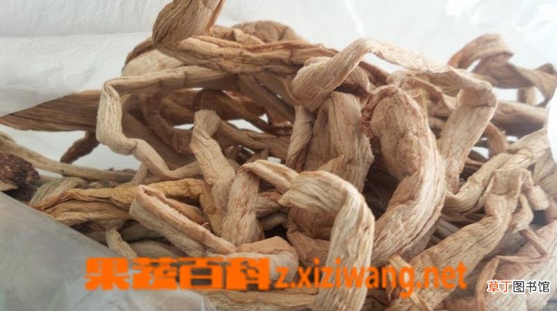 芋梗是什么 芋梗的功效与做法