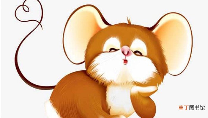 戍子年是什么意思