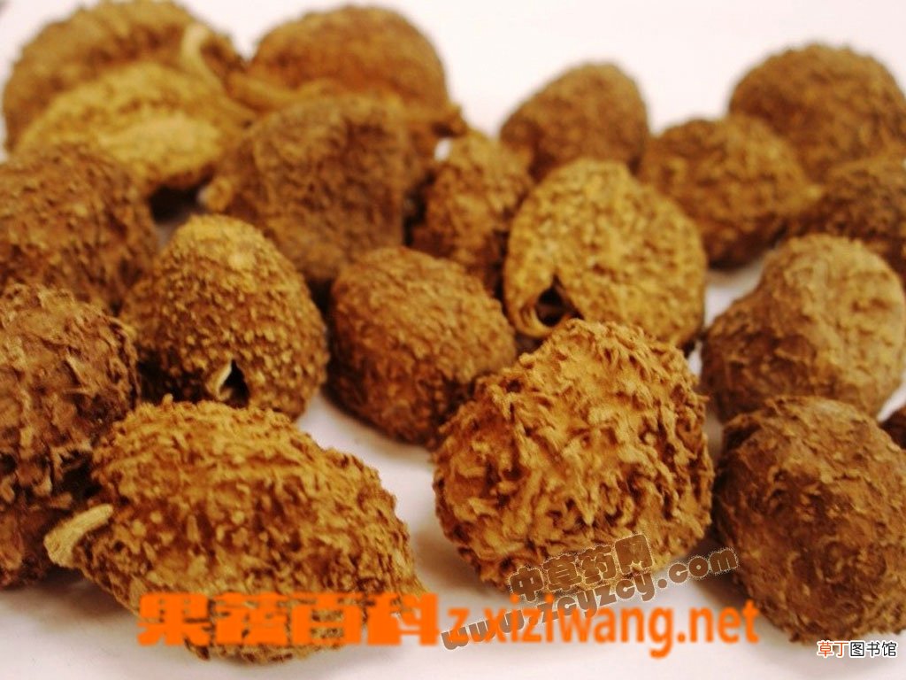 砂仁的功效