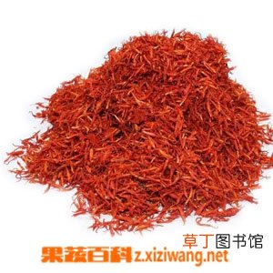 藏红花的功效与作用