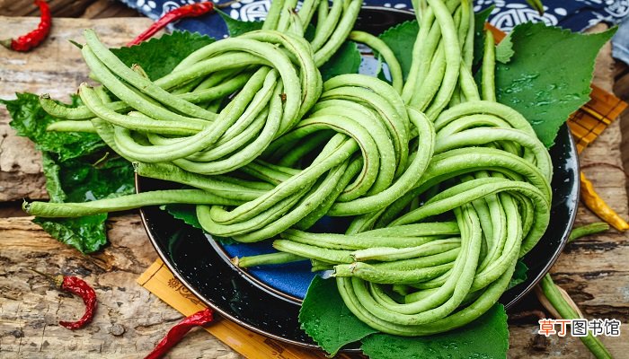 四季豆和豆角的区别