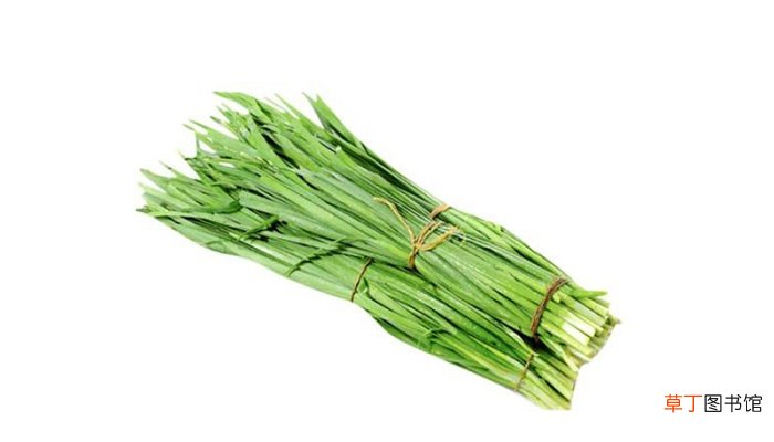 韭菜各种吃法