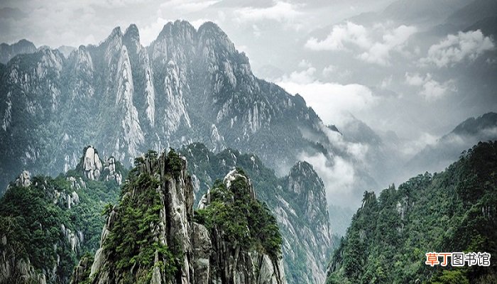 成都到青城山多少公里