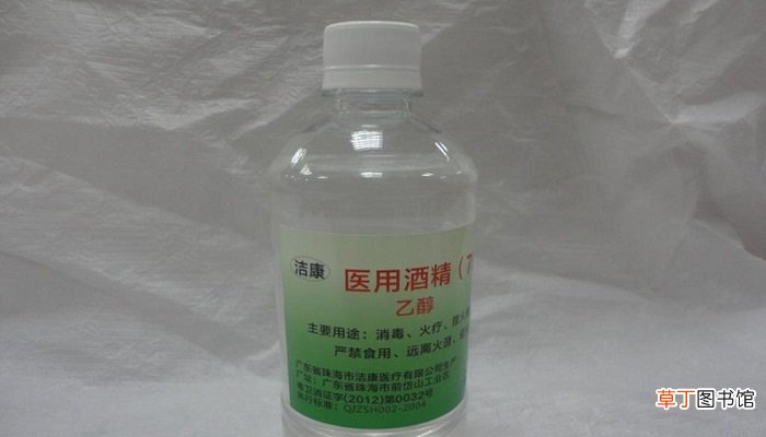酒精可以杀死尘虱吗