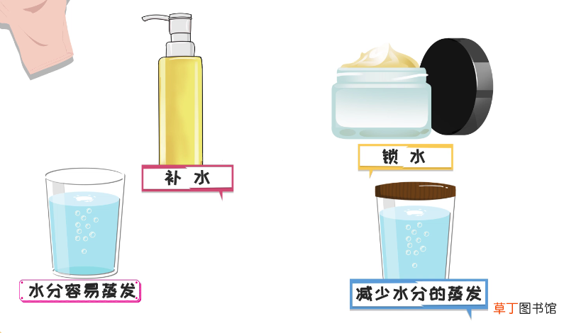 乳液和面霜的区别