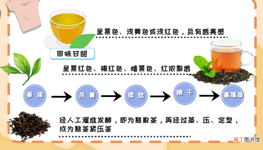 生茶和熟茶的区别