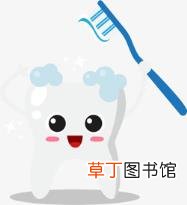 大牙齿松动了能恢复吗 牙齿多久会掉