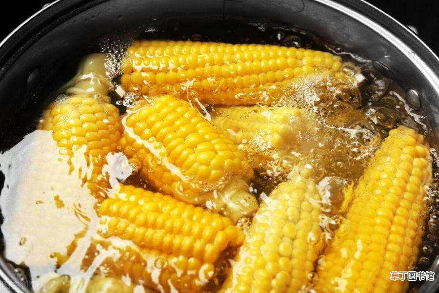 玉米煮多长时间合适 水煮玉米要多久