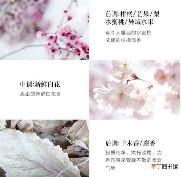 冰希黎属于什么档次