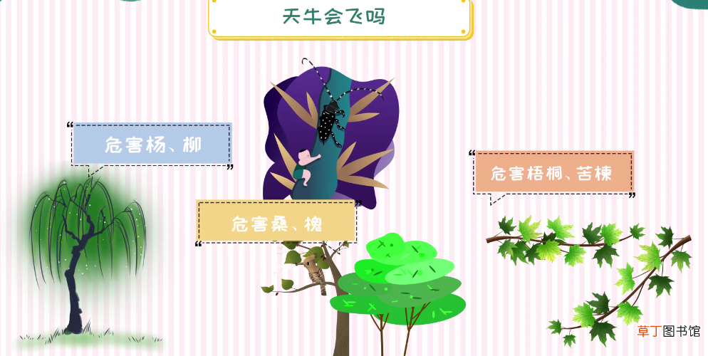 天牛有毒吗