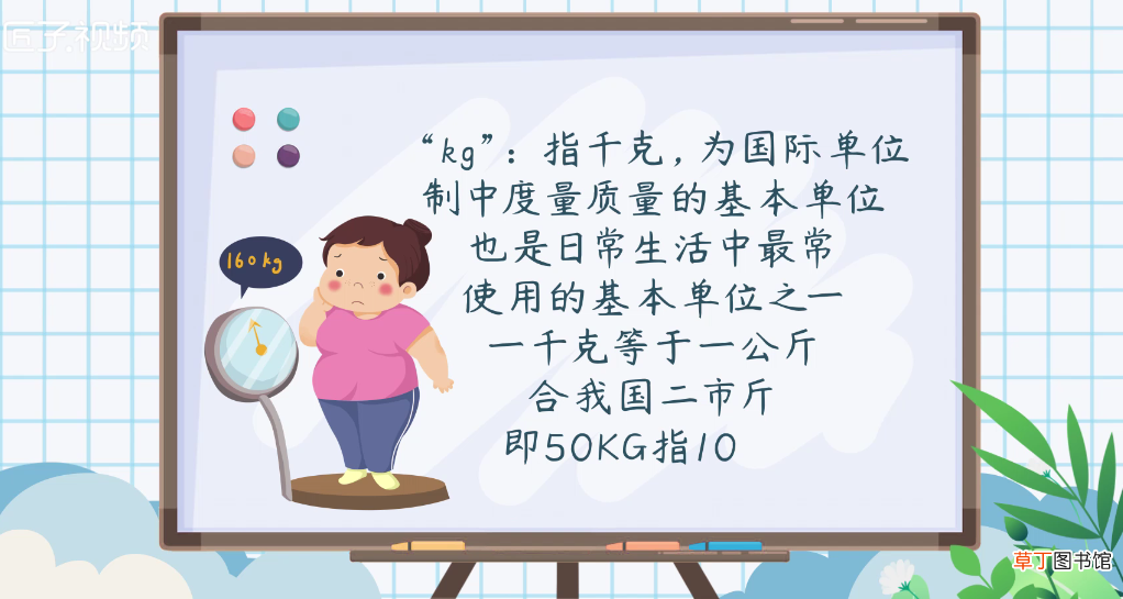 体重kg是公斤还是斤