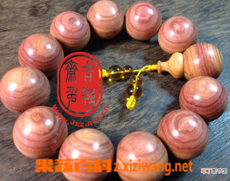 红豆杉的功效与作用
