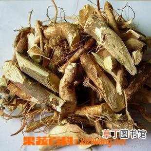 五指毛桃的功效与作用