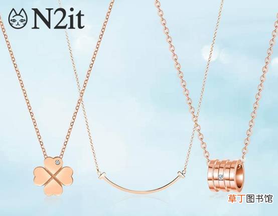 n2it是什么牌子