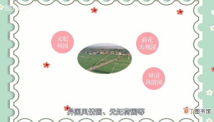 安新县属于哪个市