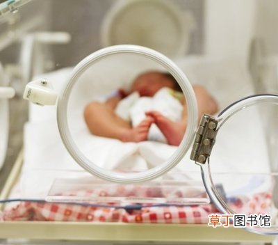 中秋佳节月饼“挑”着吃大白皮比酥皮“健康”