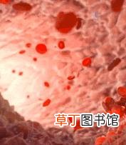 26岁做了种植牙我好后悔 牙齿种植需要多久
