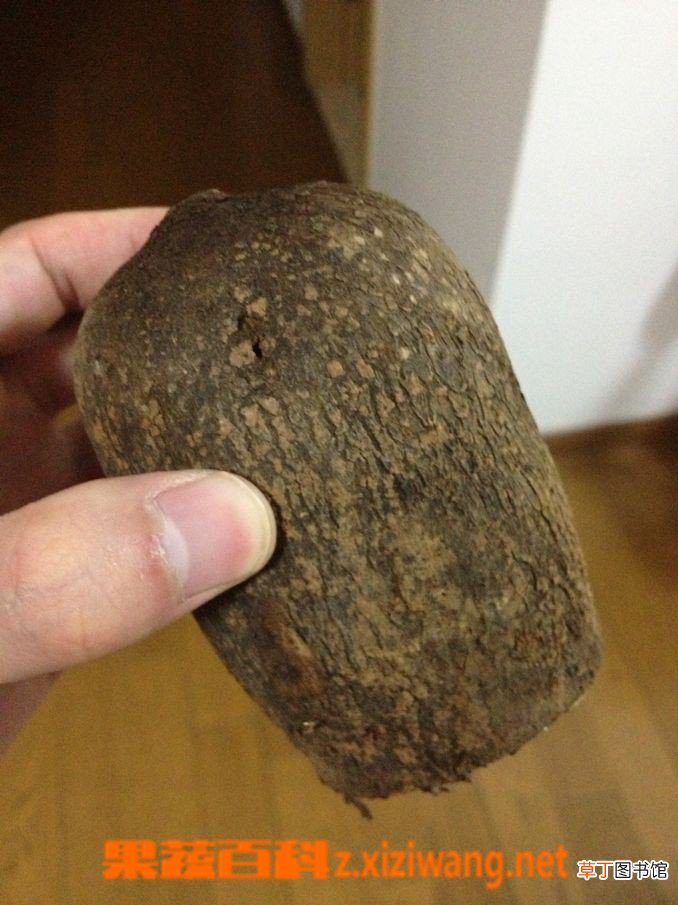 山药的药用价值