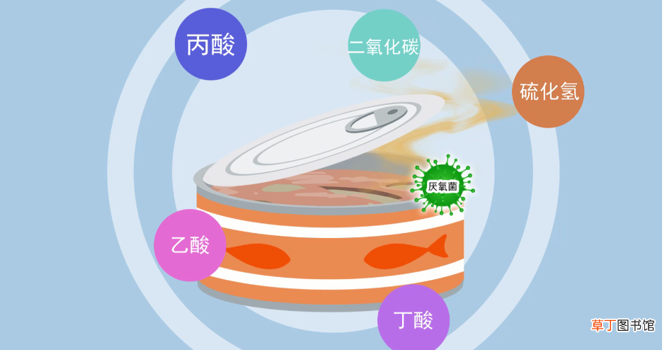 鲱鱼罐头为什么这么臭
