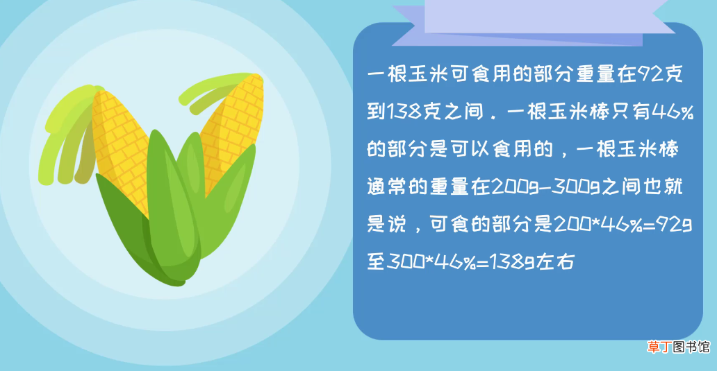 一根玉米多少克