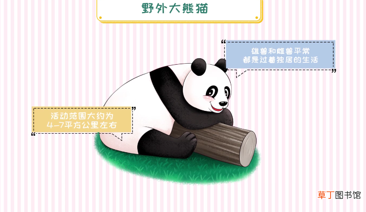 熊猫的生活习性
