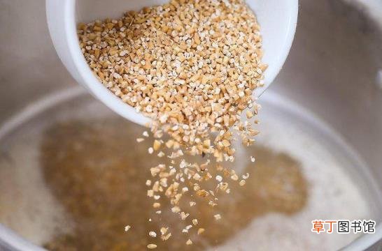 生燕麦煮之前要泡吗 燕麦要泡多久