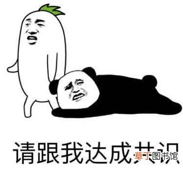explain的用法