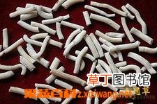 轻粉的功效和作用