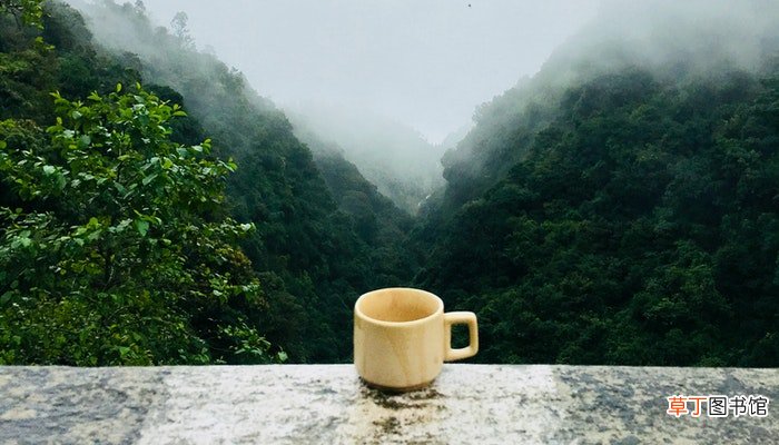 毛峰和毛尖的区别