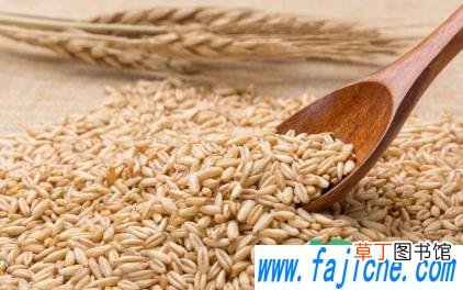 燕麦米直接蒸米饭可以吗 燕麦米怎么做饭吃