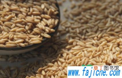 燕麦米直接蒸米饭可以吗 燕麦米怎么做饭吃