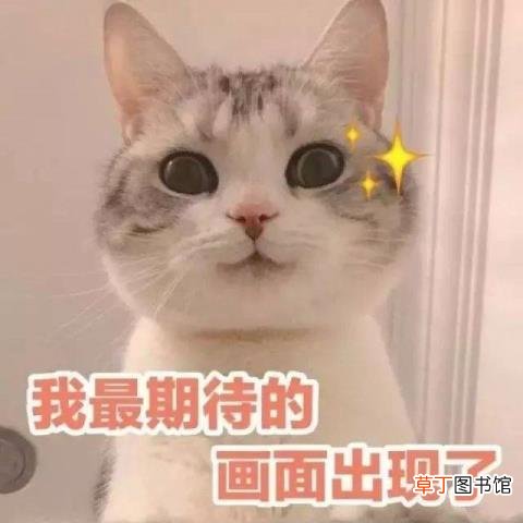 上海磁悬浮买票麻烦吗 虹桥到浦东要多久