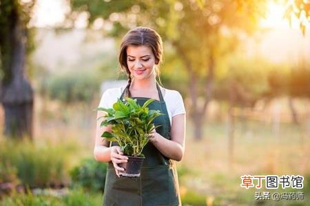 盆腔炎最好的自愈方式 妇科千金片吃多久有效