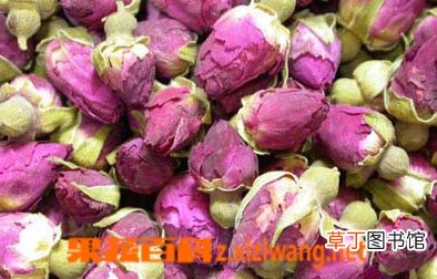 玫瑰花的疗效和作用